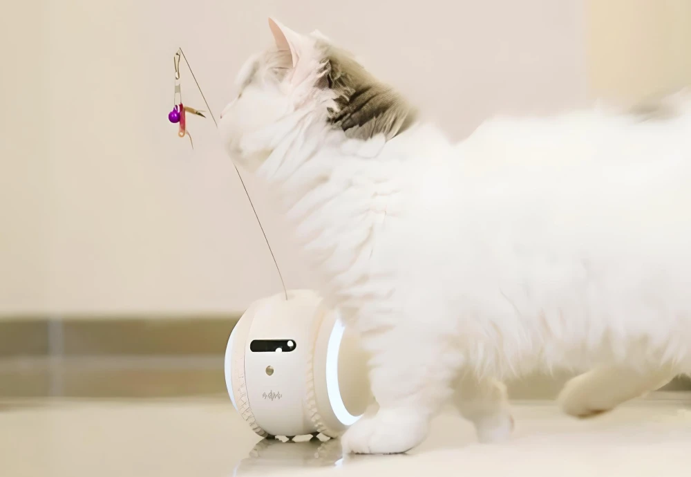 pet camera robot